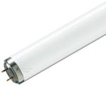 PHILIPS - TLD T12 20W10 ACTINIC